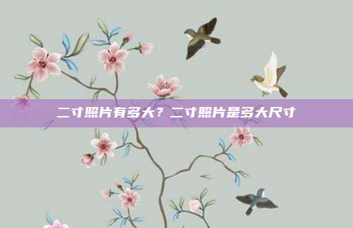 二寸照片有多大？二寸照片是多大尺寸