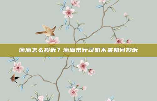 滴滴怎么投诉?滴滴出行司机不来如何投诉