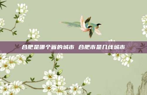 合肥是哪个省的城市 合肥市是几线城市