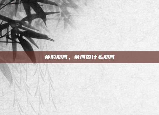 余的部首,余应查什么部首
