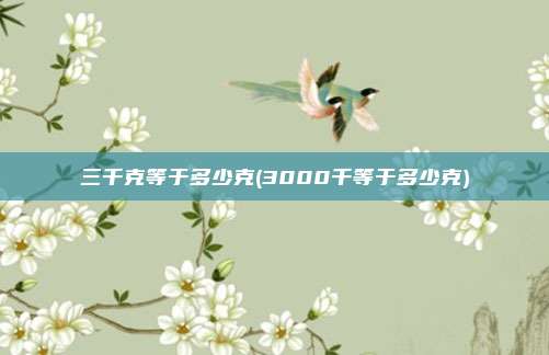 三千克等于多少克(3000千等于多少克)