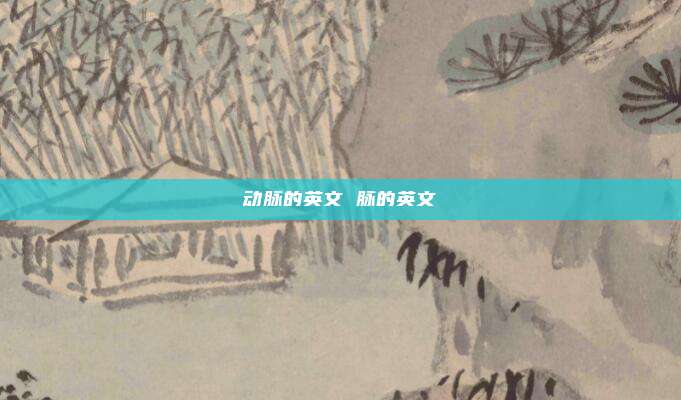 动脉的英文 脉的英文