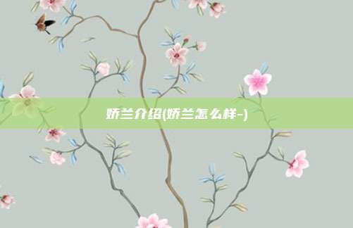 娇兰介绍(娇兰怎么样-)
