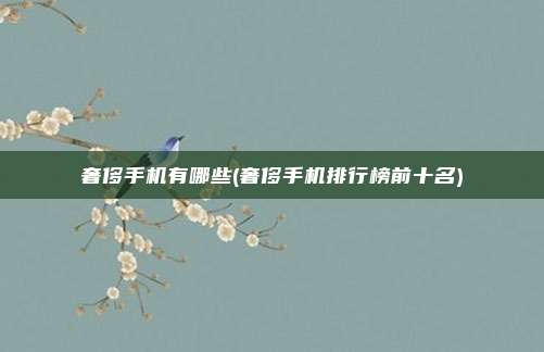 奢侈手机有哪些(奢侈手机排行榜前十名)