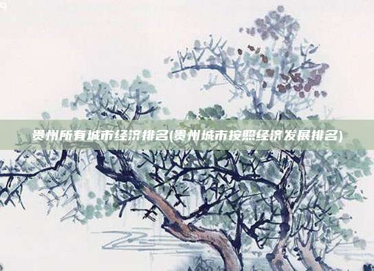贵州所有城市经济排名(贵州城市按照经济发展排名)