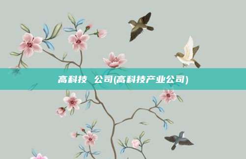 高科技 公司(高科技产业公司)