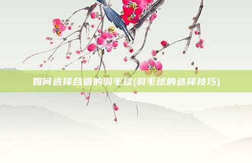 如何选择合适的羽毛球(羽毛球的选择技巧)