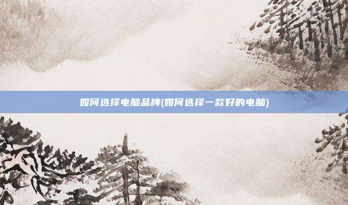 如何选择电脑品牌(如何选择一款好的电脑)