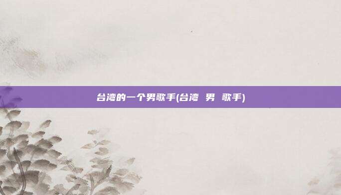 台湾的一个男歌手(台湾 男 歌手)