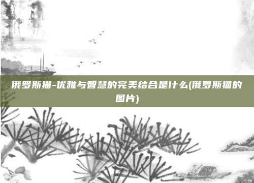 俄罗斯猫-优雅与智慧的完美结合是什么(俄罗斯猫的图片)