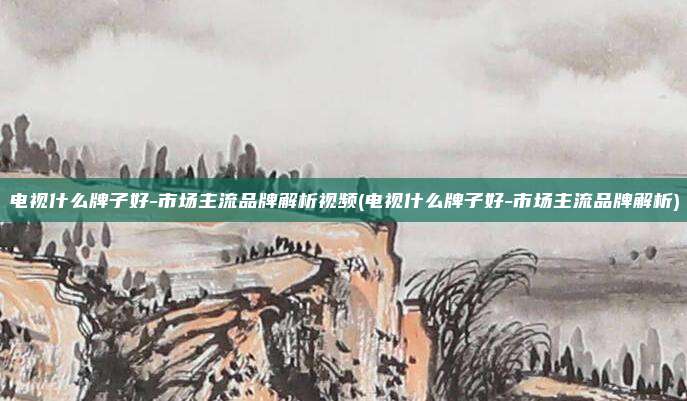 电视什么牌子好-市场主流品牌解析视频(电视什么牌子好-市场主流品牌解析)