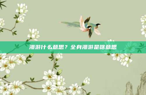 漫游什么意思?全身漫游是啥意思