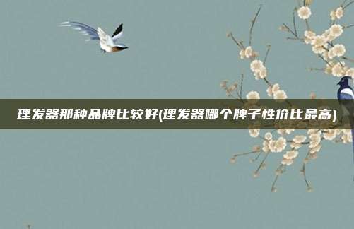 理发器那种品牌比较好(理发器哪个牌子性价比最高)