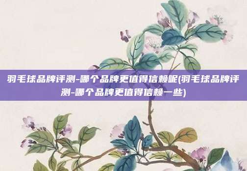 羽毛球品牌评测-哪个品牌更值得信赖呢(羽毛球品牌评测-哪个品牌更值得信赖一些)