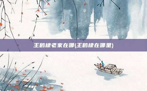 王鹤棣老家在哪(王鹤棣在哪里)