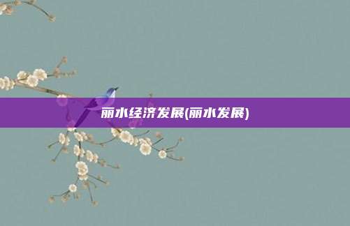 丽水经济发展(丽水发展)