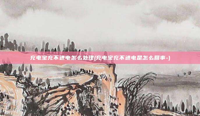 充电宝充不进电怎么处理(充电宝充不进电是怎么回事-)