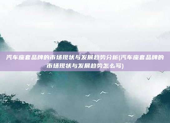 汽车座套品牌的市场现状与发展趋势分析(汽车座套品牌的市场现状与发展趋势怎么写)