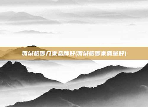 羽绒服哪几家品牌好(羽绒服哪家质量好)