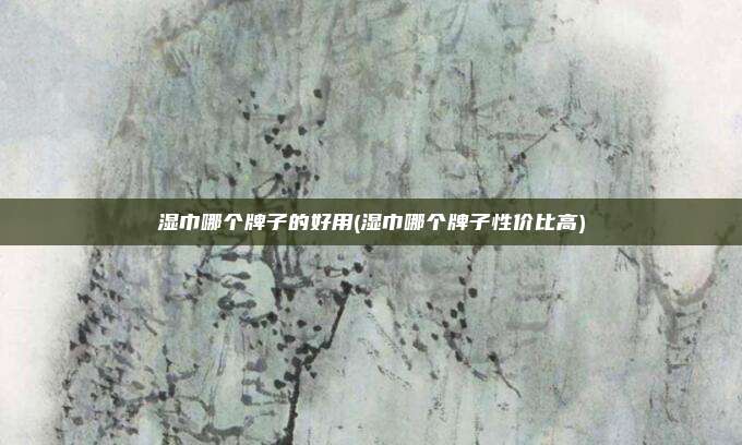 湿巾哪个牌子的好用(湿巾哪个牌子性价比高)