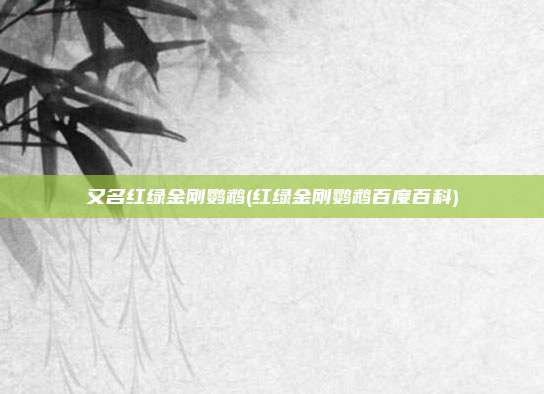 又名红绿金刚鹦鹉(红绿金刚鹦鹉百度百科)