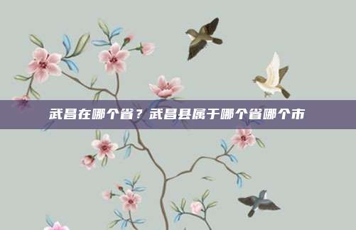 武昌在哪个省?武昌县属于哪个省哪个市