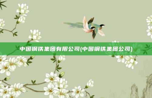 中国钢铁集团有限公司(中国钢铁集团公司)