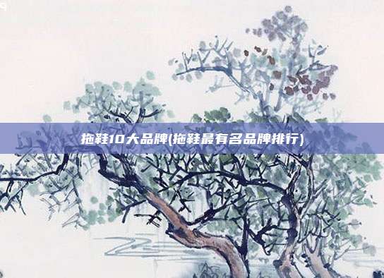 拖鞋10大品牌(拖鞋最有名品牌排行)