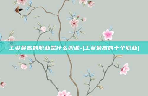 工资最高的职业是什么职业-(工资最高的十个职业)