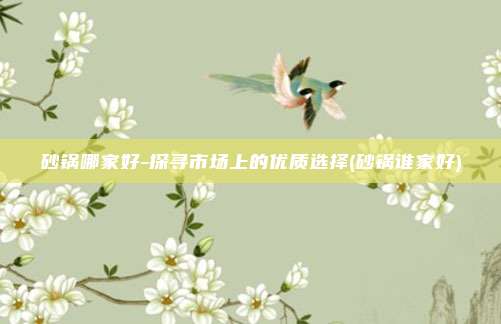 砂锅哪家好-探寻市场上的优质选择(砂锅谁家好)