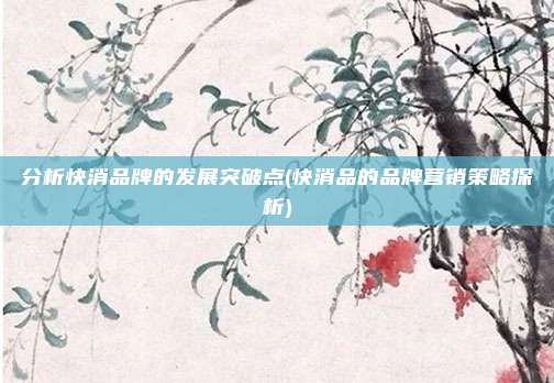 分析快消品牌的发展突破点(快消品的品牌营销策略探析)