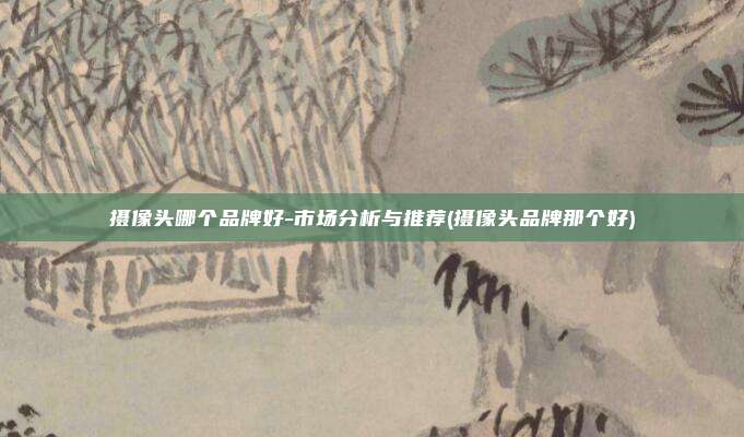 摄像头哪个品牌好-市场分析与推荐(摄像头品牌那个好)