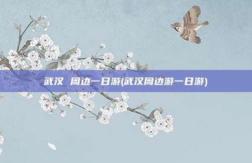 武汉 周边一日游(武汉周边游一日游)