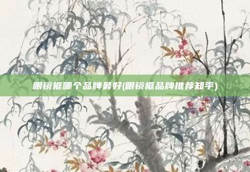 眼镜框哪个品牌最好(眼镜框品牌推荐知乎)