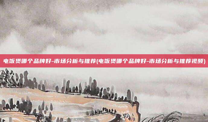 电饭煲哪个品牌好-市场分析与推荐(电饭煲哪个品牌好-市场分析与推荐视频)
