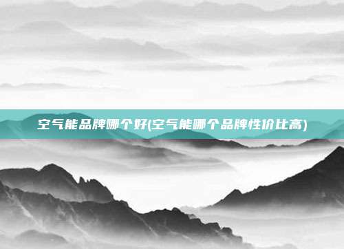 空气能品牌哪个好(空气能哪个品牌性价比高)