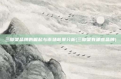 三脚架品牌的崛起与市场前景分析(三脚架有哪些品牌)
