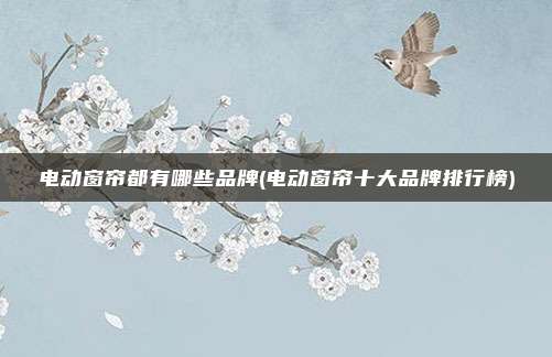 电动窗帘都有哪些品牌(电动窗帘十大品牌排行榜)