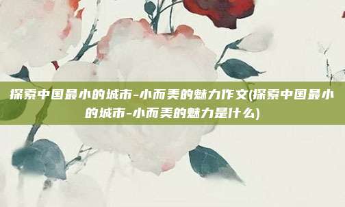 探索中国最小的城市-小而美的魅力作文(探索中国最小的城市-小而美的魅力是什么)