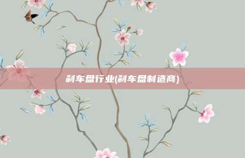 刹车盘行业(刹车盘制造商)