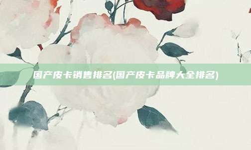国产皮卡销售排名(国产皮卡品牌大全排名)
