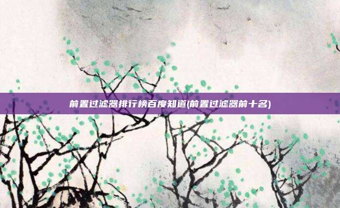 前置过滤器排行榜百度知道(前置过滤器前十名)