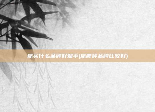 床买什么品牌好知乎(床哪种品牌比较好)