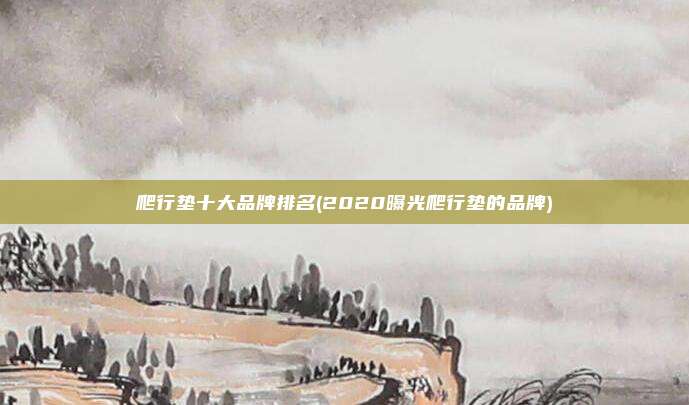 爬行垫十大品牌排名(2020曝光爬行垫的品牌)