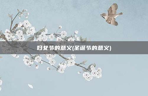 妇女节的意义(圣诞节的意义)
