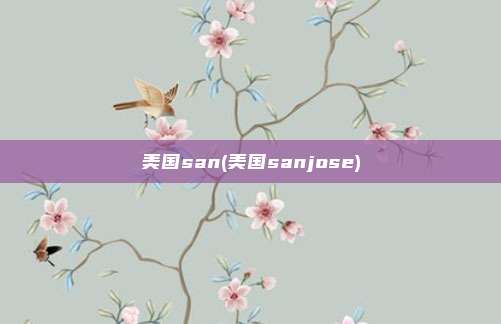 美国san(美国sanjose)