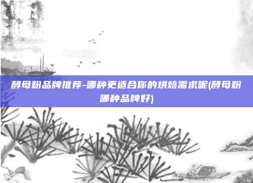 酵母粉品牌推荐-哪种更适合你的烘焙需求呢(酵母粉哪种品牌好)