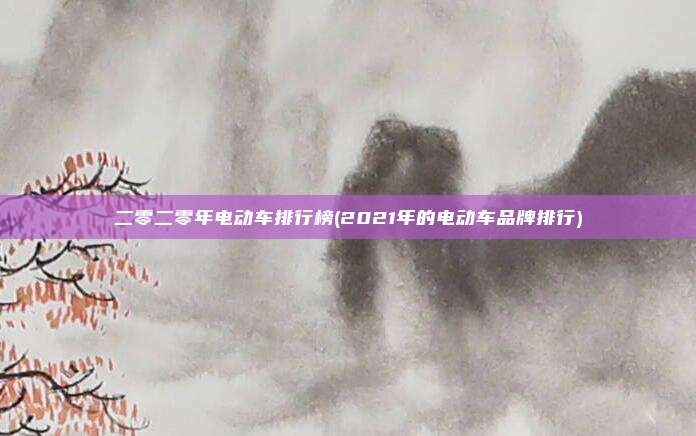 二零二零年电动车排行榜(2021年的电动车品牌排行)