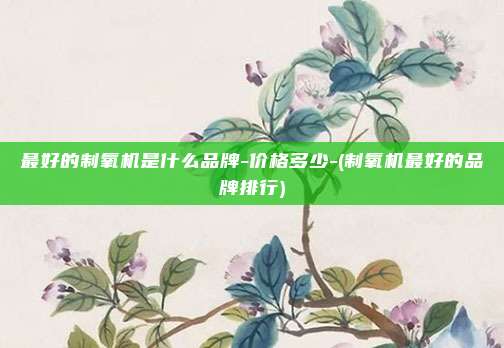 最好的制氧机是什么品牌-价格多少-(制氧机最好的品牌排行)