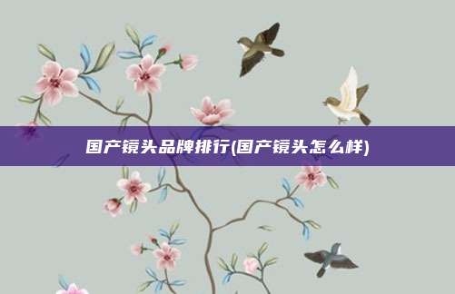 国产镜头品牌排行(国产镜头怎么样)